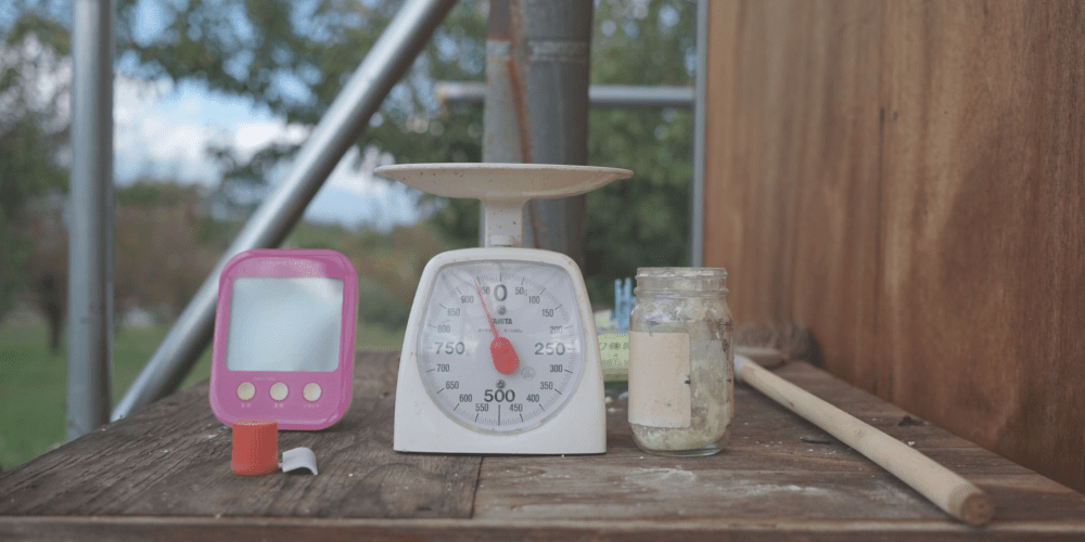 ももの畑の様子